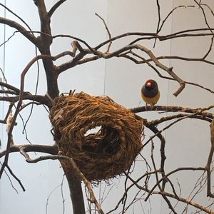 Meet your Posher, Gloria